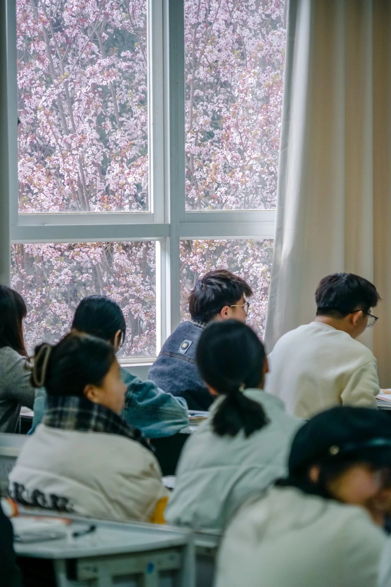 beat365正版唯一官网必一春季学期开学! 第 6 张 beat365正版唯一官网必一春季学期开学! 第 6 张