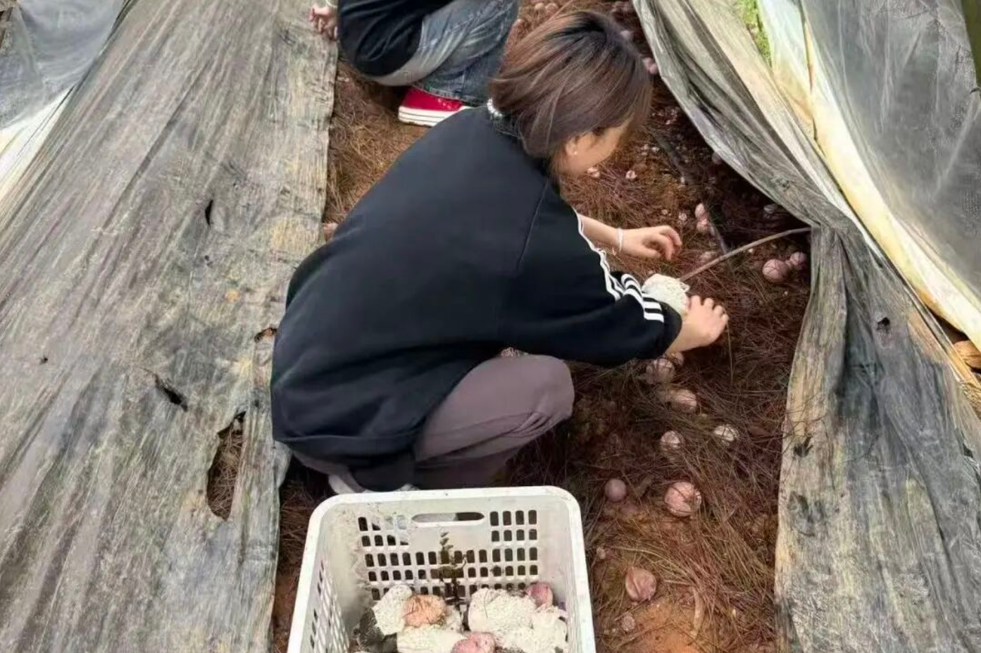 屏幕截图 2026-06-21 215329.png 屏幕截图 2026-06-21 215329.png