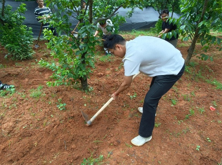 屏幕截图 2026-06-21 220016.png 屏幕截图 2026-06-21 220016.png
